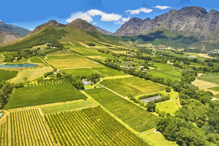 Cape Town Stellenbosch and Franschhoek Wine Tasting 02_fef51_lg.jpg